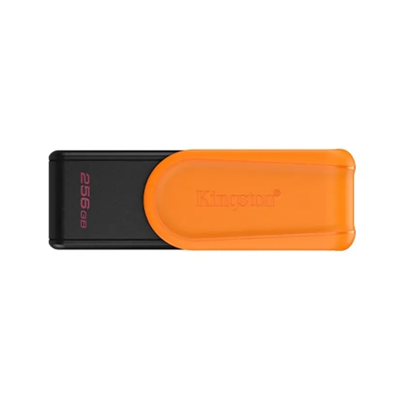 Pen Drive KINGSTON 256GB USB 3.2 DTXS 1-0417477